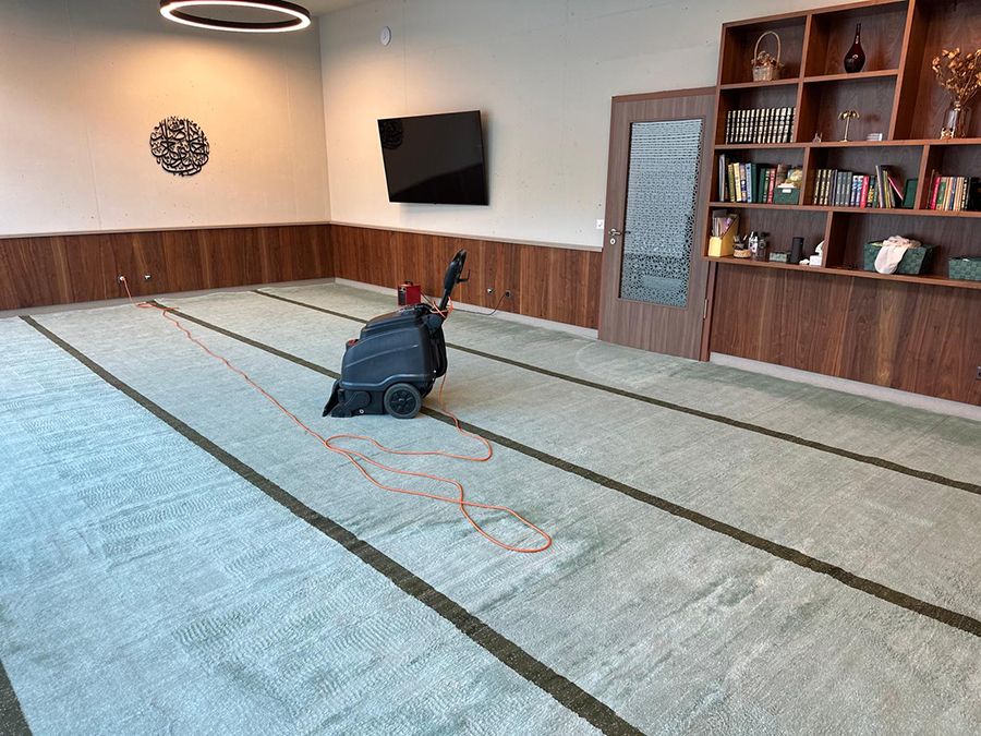 AquaWax Sofa Reinigung