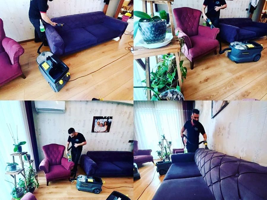 AquaWax Sofa Reinigung