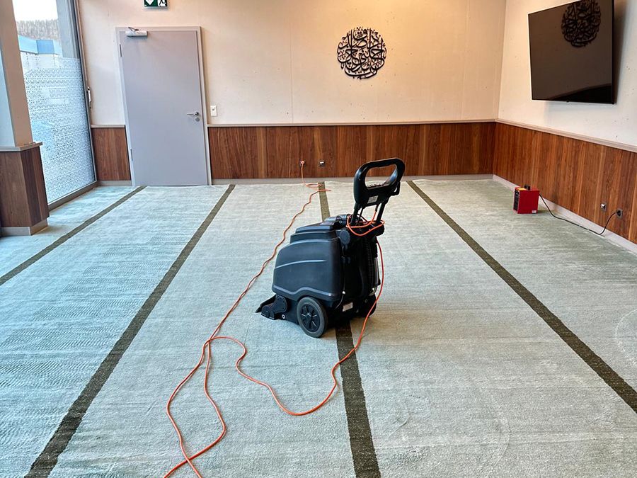 AquaWax Sofa Reinigung