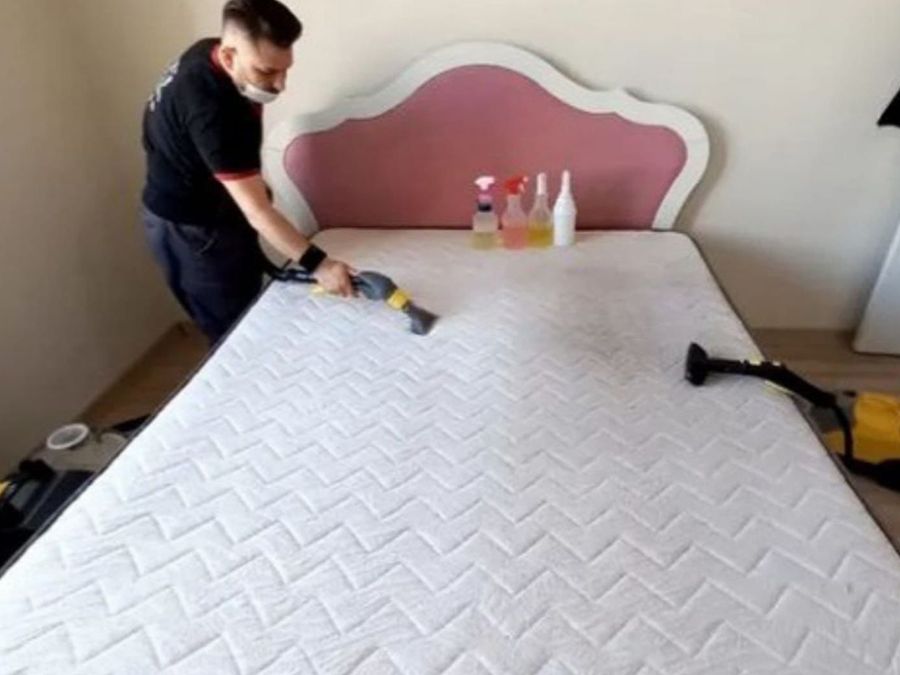 AquaWax Sofa Reinigung